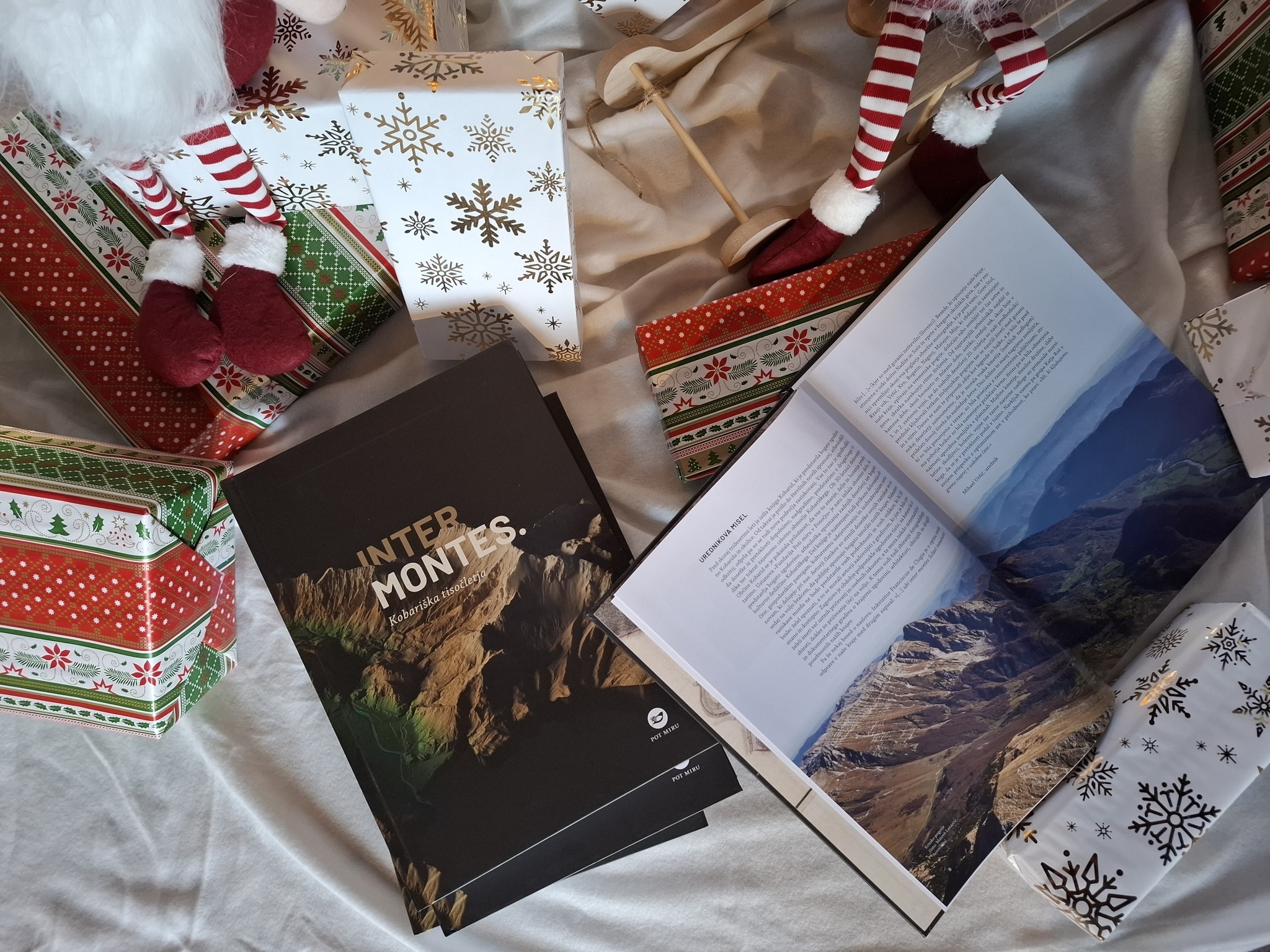 Primer oblikovanja monografije